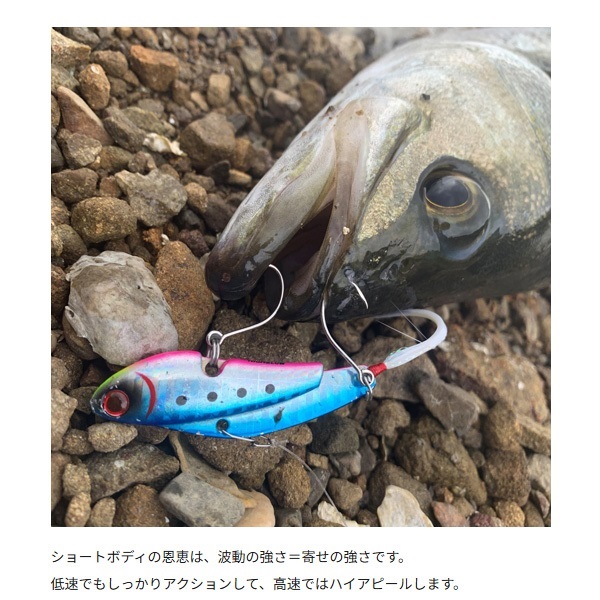 IP-35 アイアンプレート ハイアンドロー シルバークロー